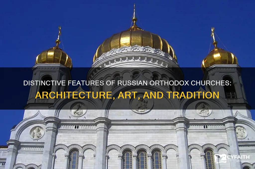 why aer russian orthodox churches different