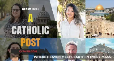 Why I Remain Catholic: Faith, Tradition, and Personal Journey Explored