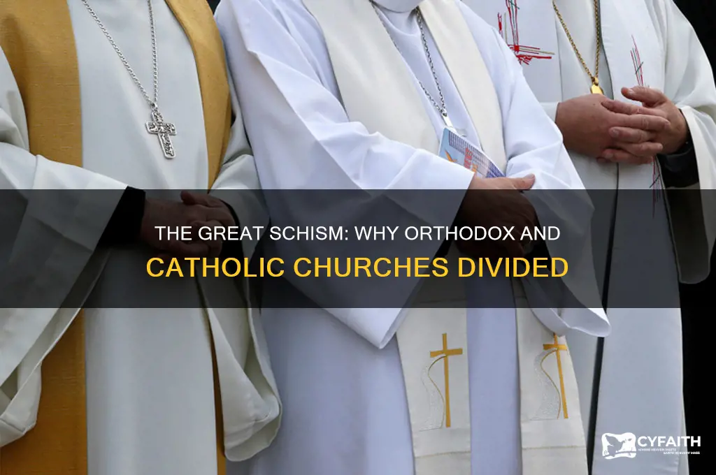 why and when did the orthodox and catholic churches split