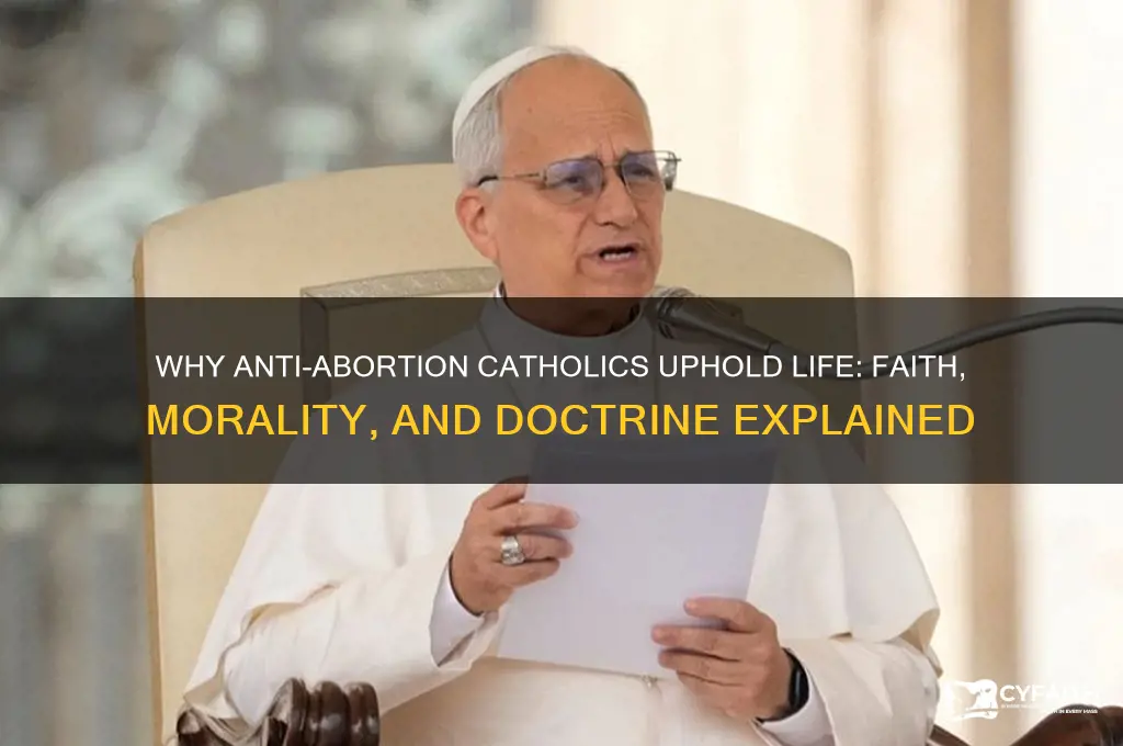 why antiabortion catholics