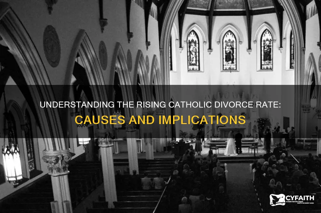 why are 12 of catholics divorced
