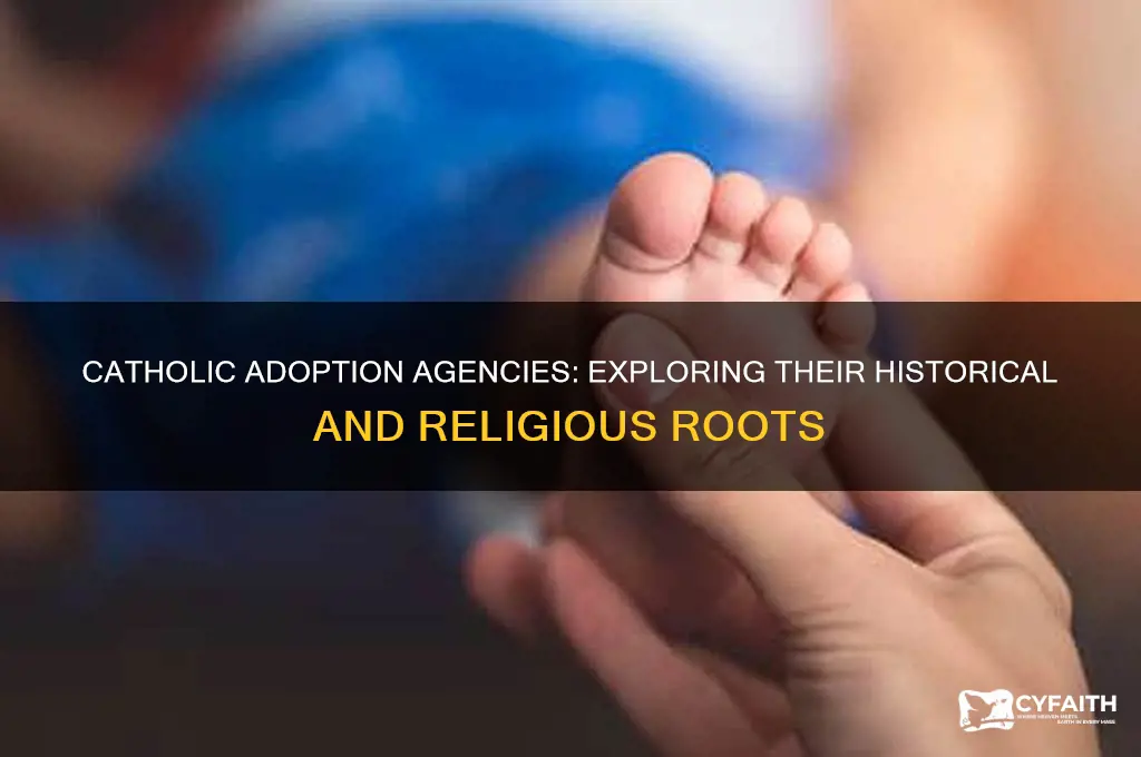 why are adoption agencies catholic
