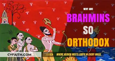 Why Brahmins Uphold Orthodox Traditions: Exploring Cultural and Historical Roots
