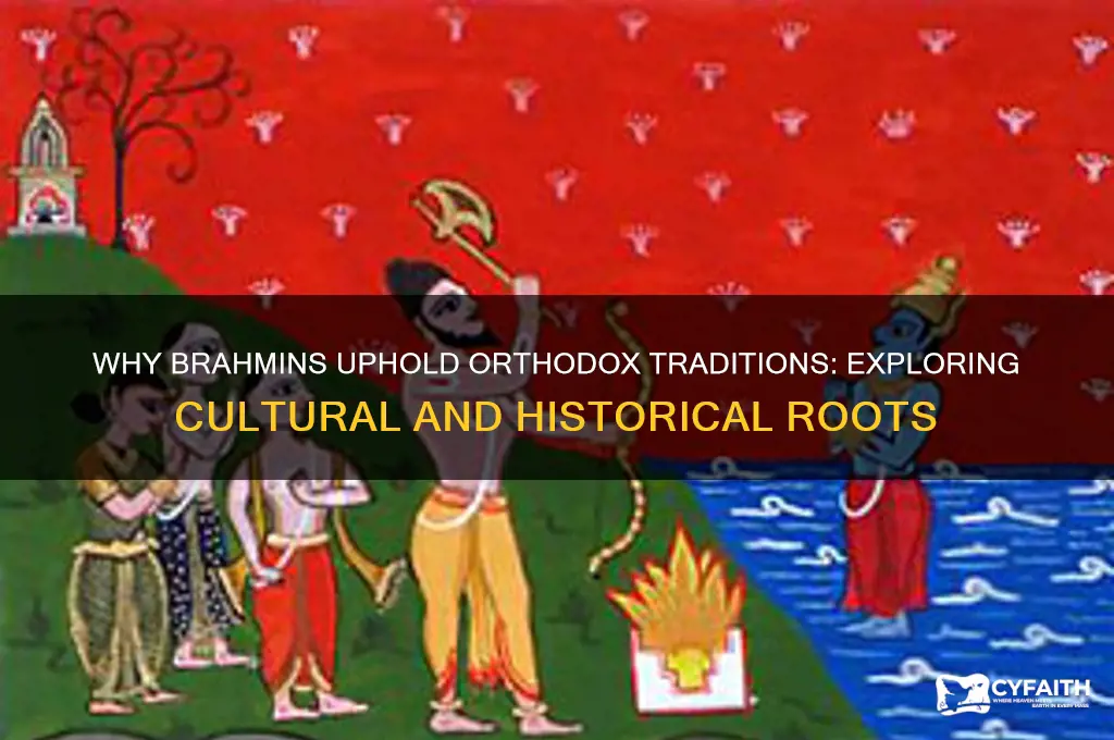 why are brahmins so orthodox