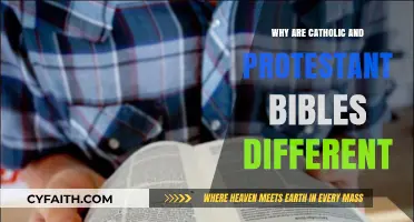 Catholic vs. Protestant Bibles: Understanding the Key Differences and Why