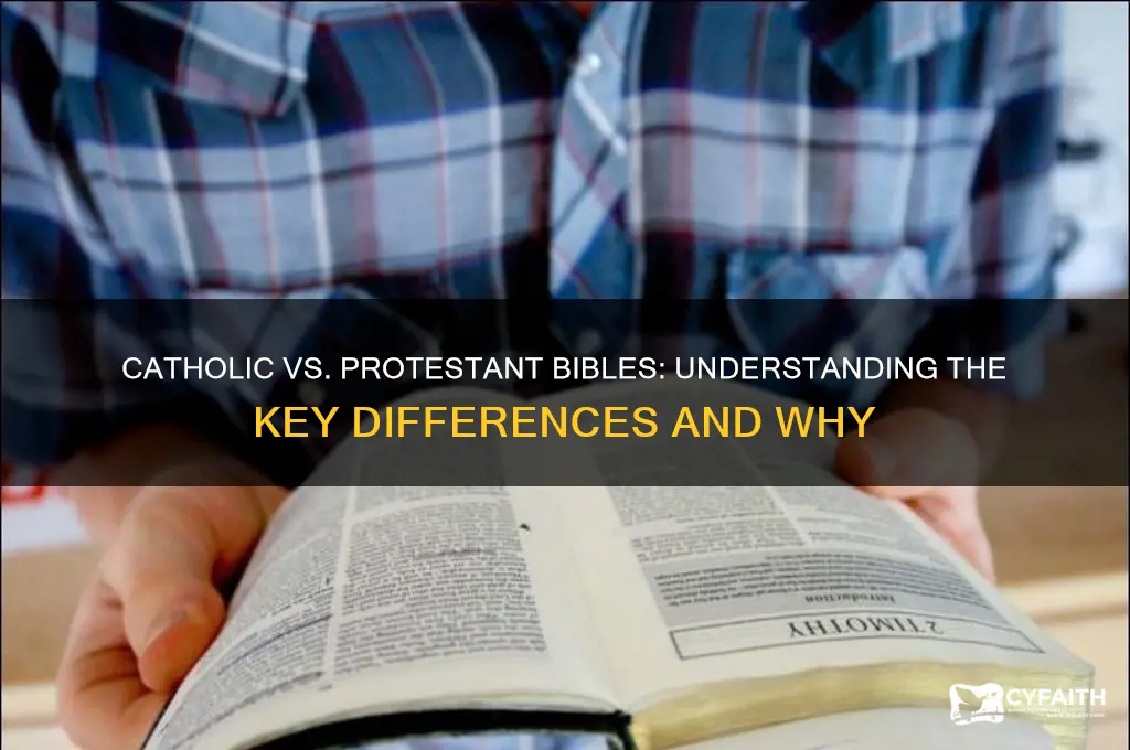 why are catholic and protestant bibles different