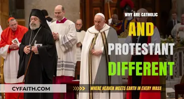 Catholic vs. Protestant: Key Differences in Beliefs and Practices Explained