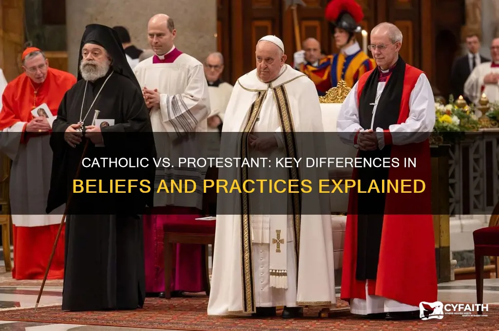 why are catholic and protestant different