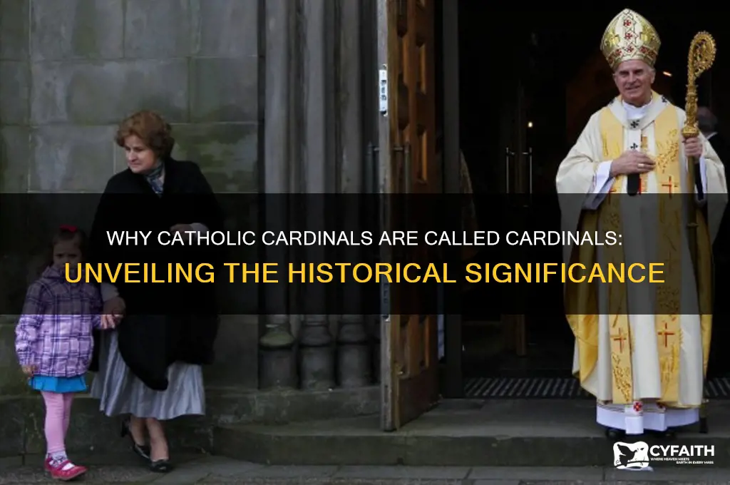 why are catholic cardinals called cardinals