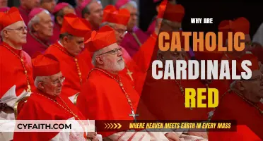 Why Catholic Cardinals Wear Red: Symbolism and Tradition Explained
