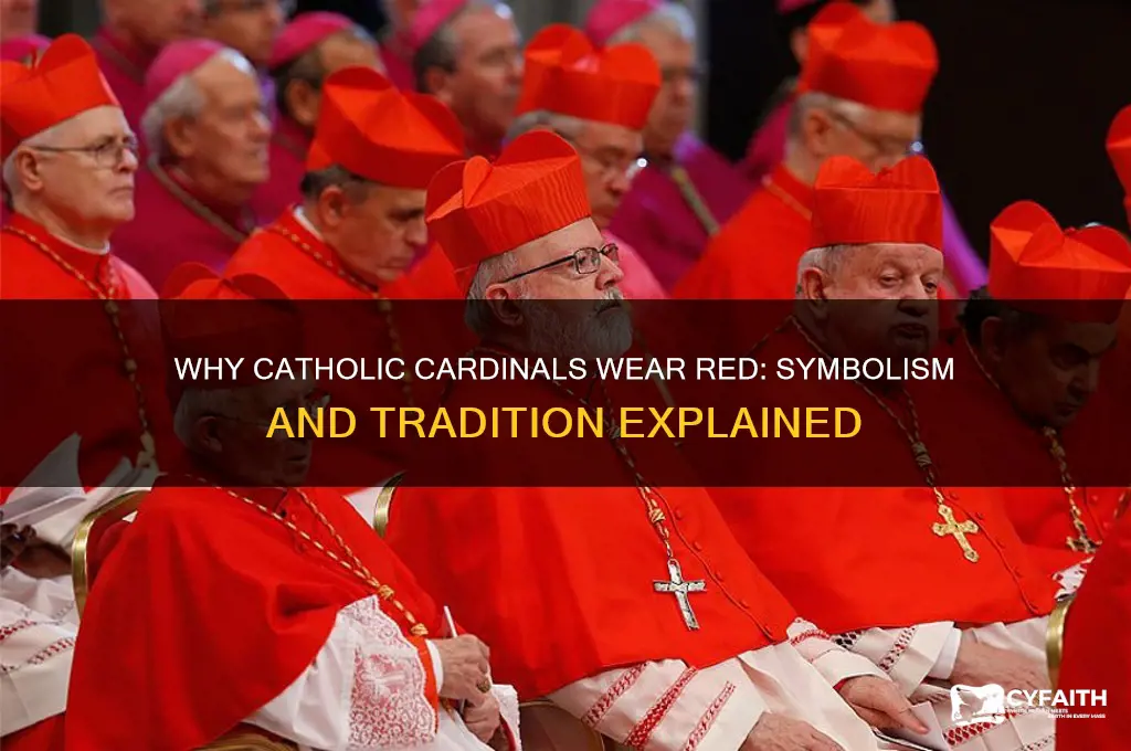 why are catholic cardinals red