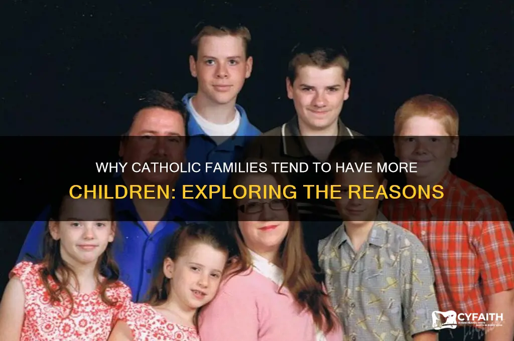 why are catholic families so big