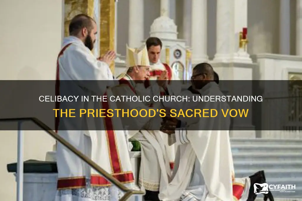 why are catholic preist supposed to be celbiate