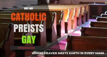 Unveiling the Misconceptions: Are Catholic Priests Really Gay?