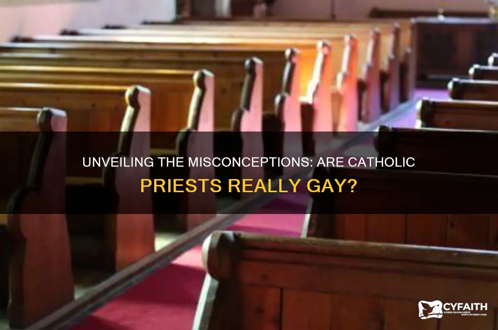 why are catholic preists gay
