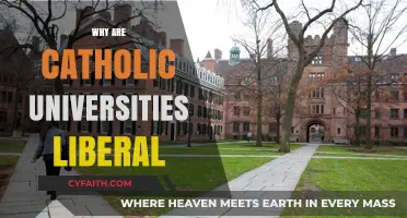 Why Catholic Universities Often Embrace Liberal Ideologies and Values