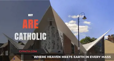Exploring the Faith: Why Are People Catholic in Modern Times?