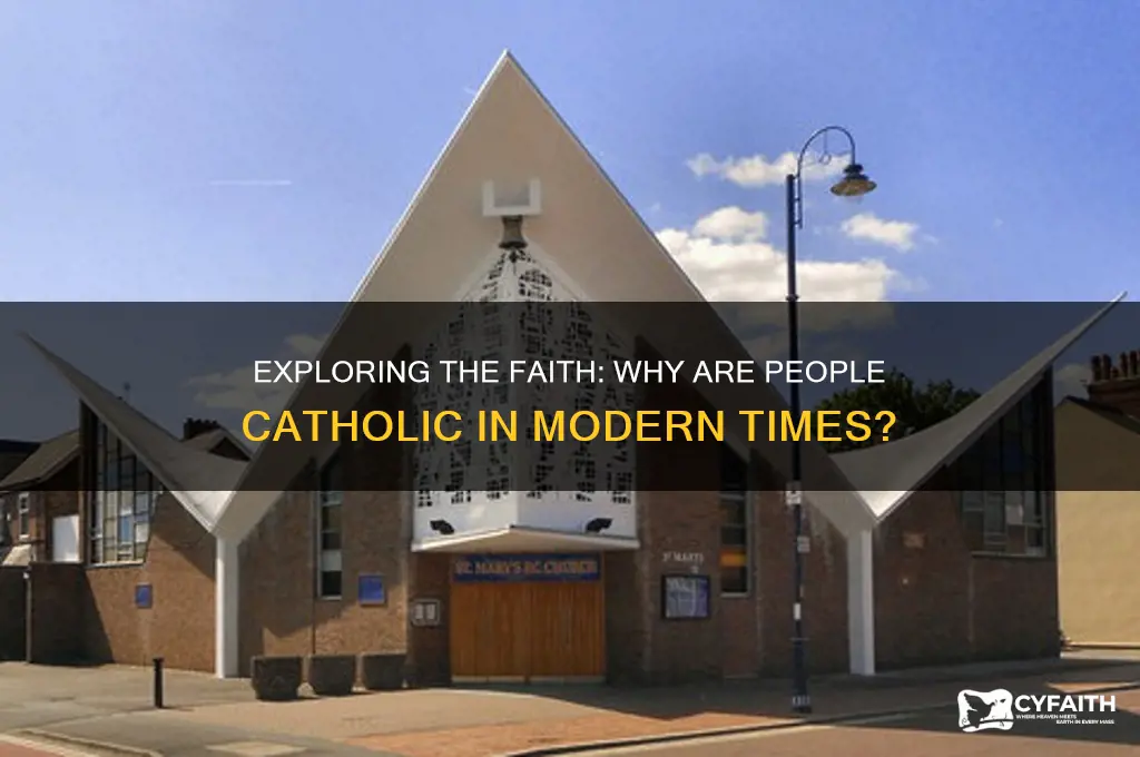 why are catholic