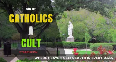 Are Catholics in a Cult? Debunking Misconceptions and Understanding Faith