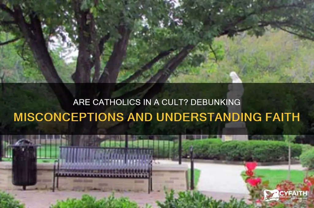 why are catholics a cult