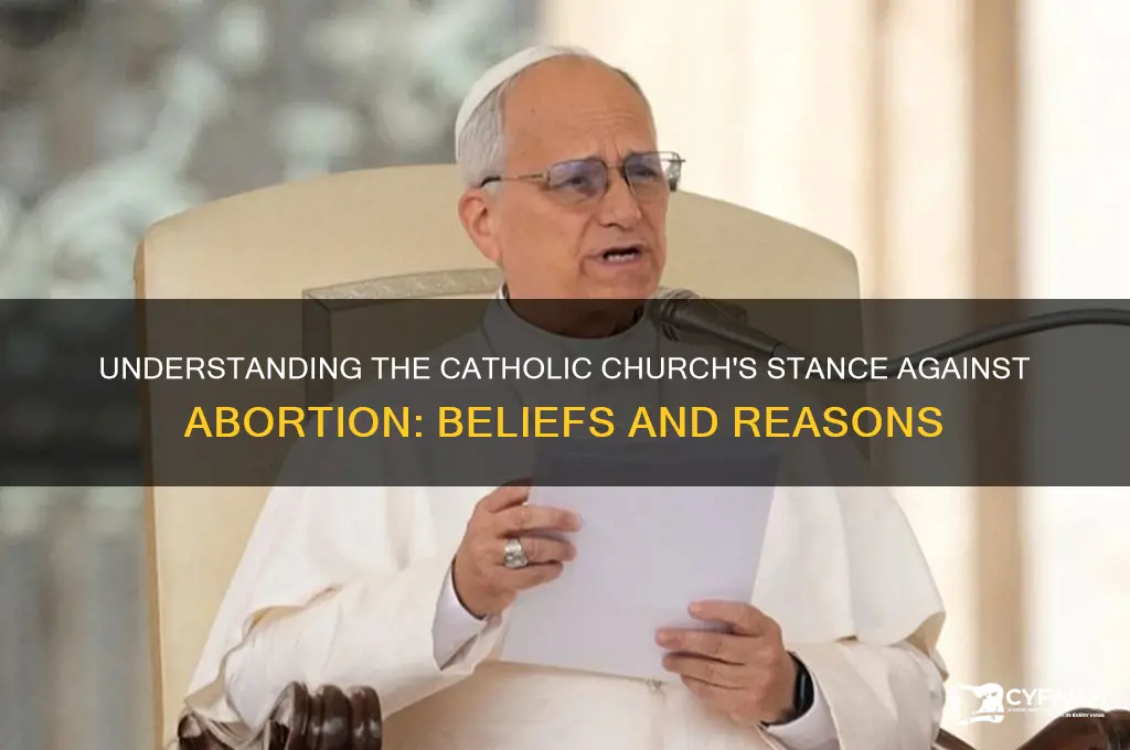 why are catholics against abortions