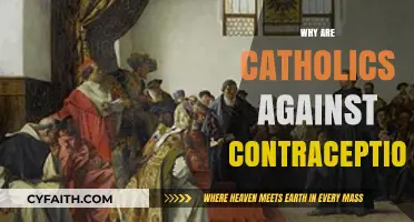 Understanding Catholic Opposition to Contraception: Faith, Morality, and Tradition
