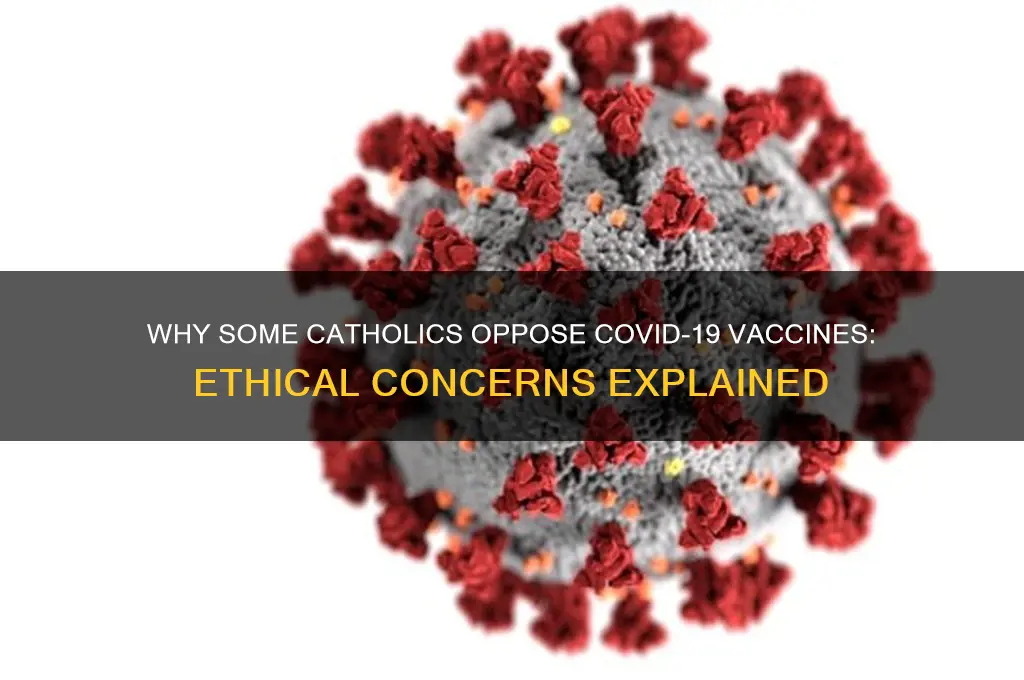 why are catholics against covid vaccine