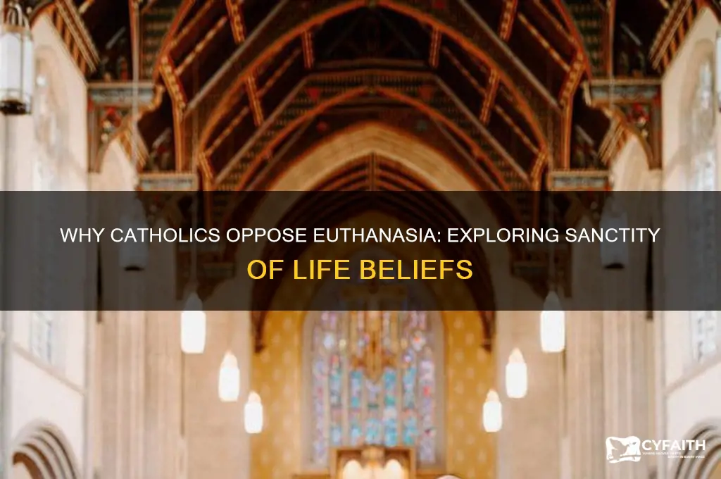 why are catholics against euthanasia
