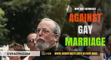 Understanding Catholic Opposition to Same-Sex Marriage: Beliefs and Reasons