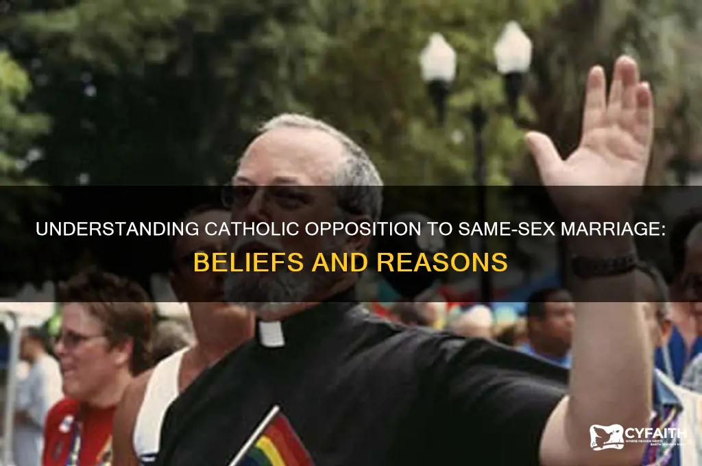why are catholics against gay marriage