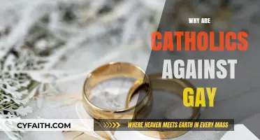 Understanding Catholic Opposition to Same-Sex Relationships: A Theological Perspective
