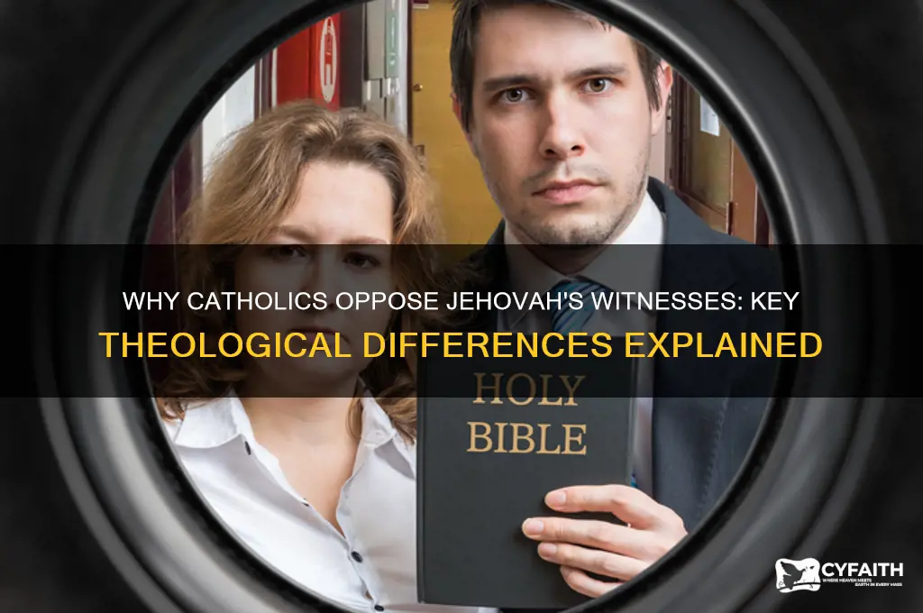why are catholics against jehovah witnesses