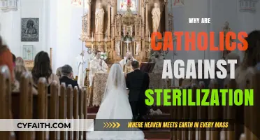 Why Catholics Oppose Sterilization: Faith, Morality, and Human Dignity Explained