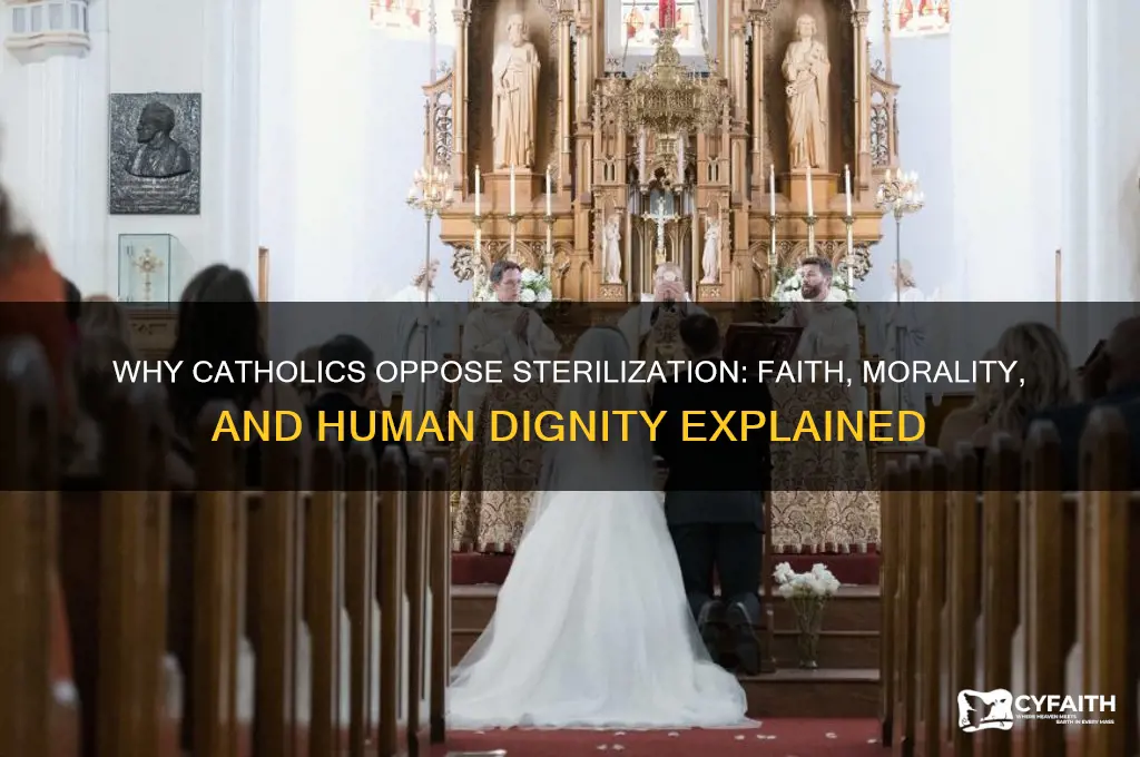 why are catholics against sterilization