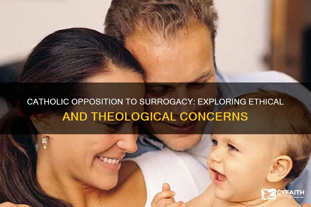 why are catholics against surrogacy