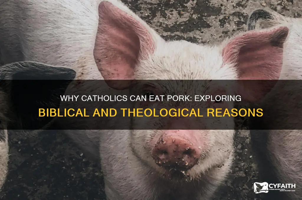 why are catholics allowed to eat pork