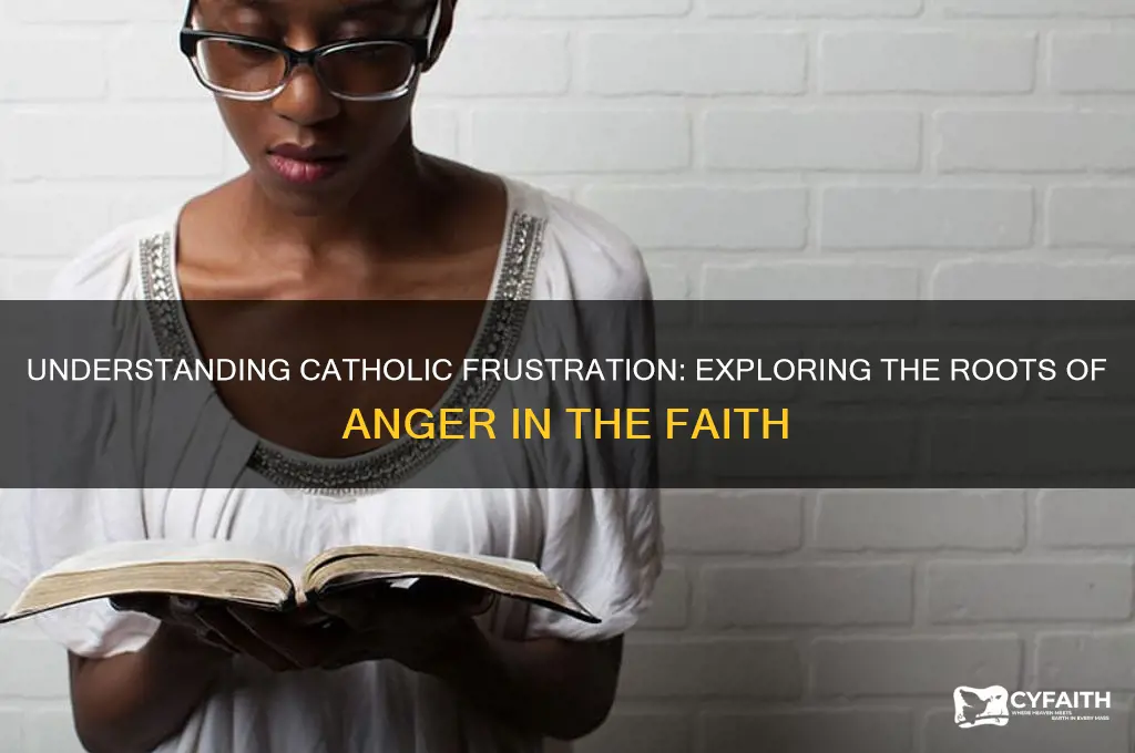 why are catholics angry