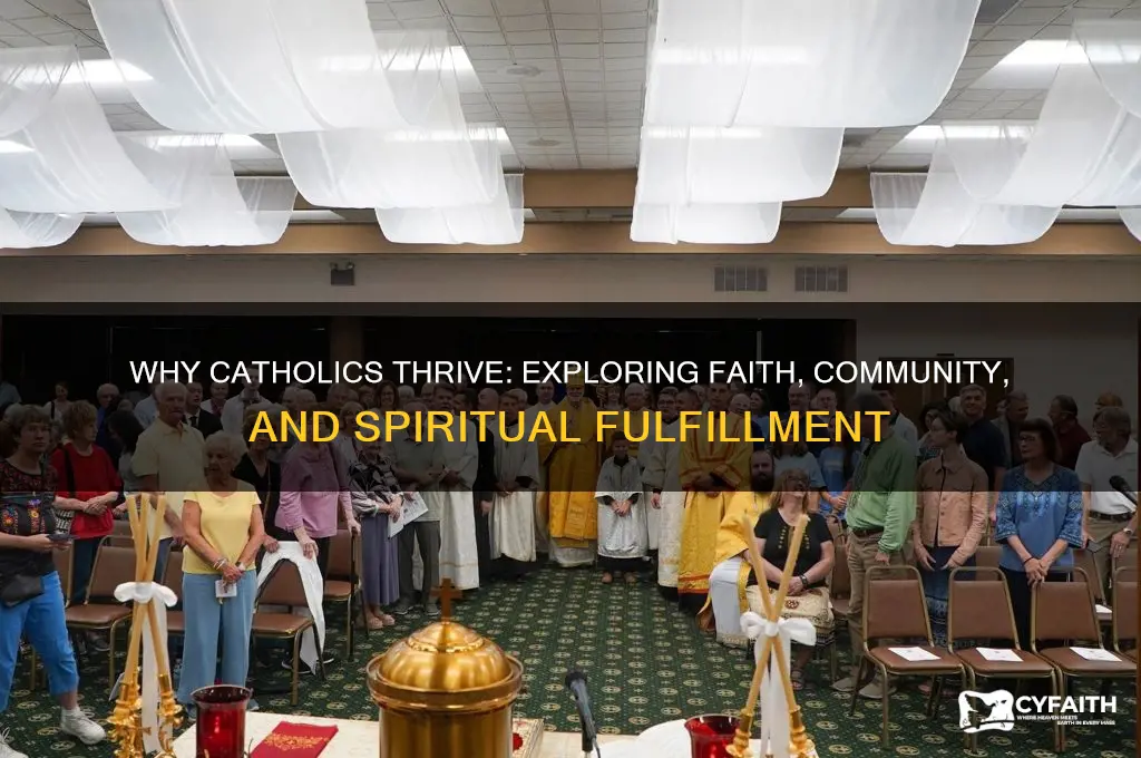 why are catholics better off