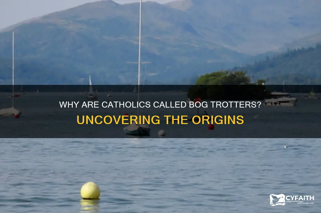 why are catholics called bog trotters