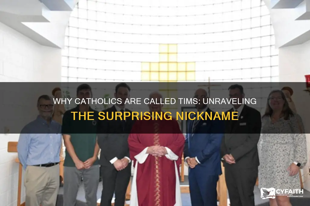 why are catholics called tims
