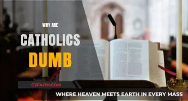 Debunking Stereotypes: Are Catholics Intellectually Misrepresented?