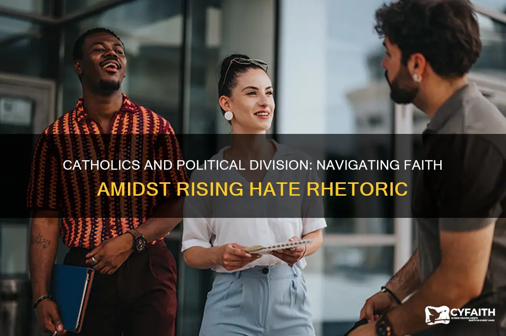 why are catholics going along with political hate talk