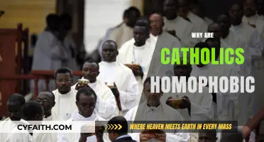 Understanding Catholic Stance on Homosexuality: Homophobia or Doctrine?