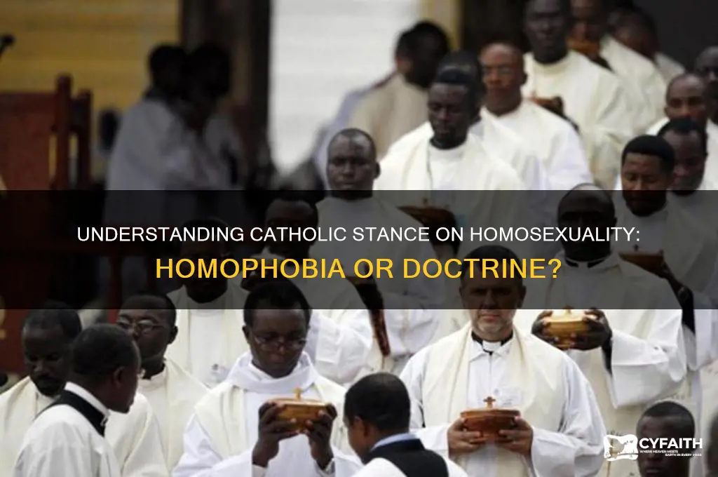 why are catholics homophobic