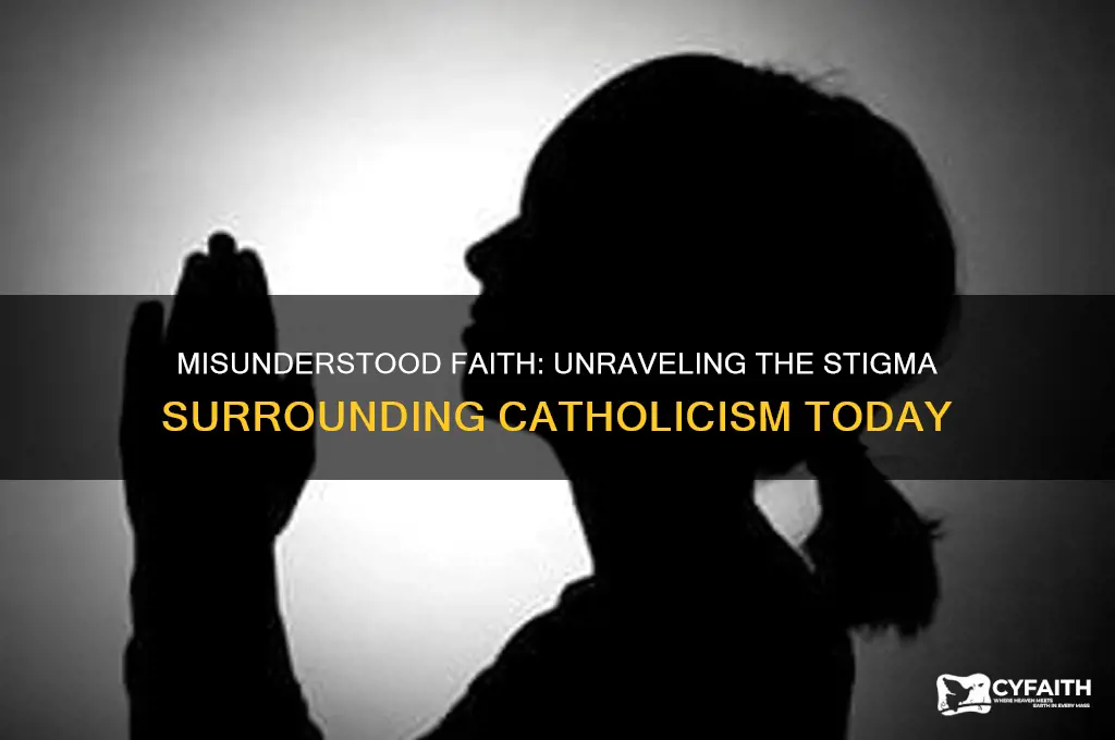 why are catholics looked down on