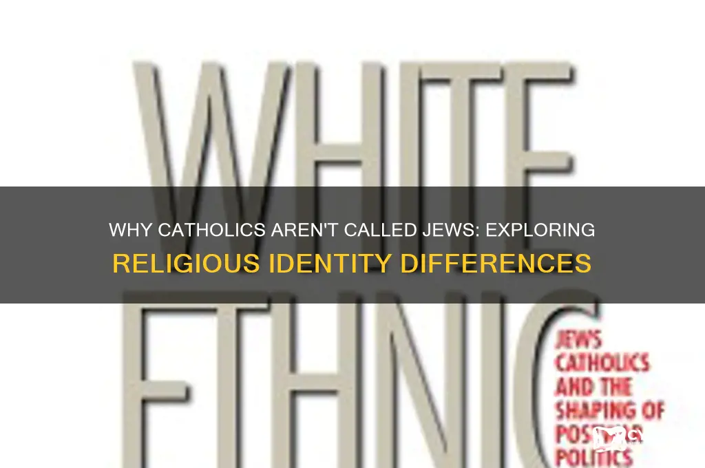 why are catholics nmot called jews