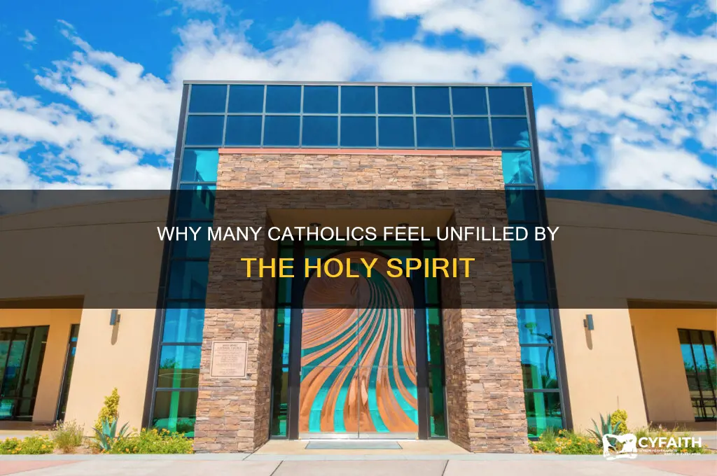 why are catholics not filled with the holy