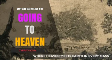 Why Catholics Might Not Go to Heaven: A Theological Perspective