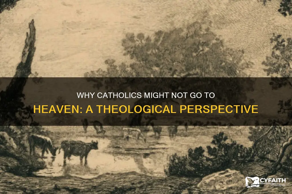 why are catholics not going to heaven