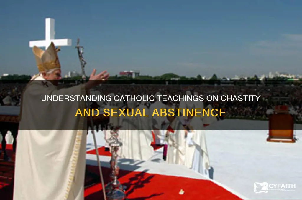 why are catholics not have sex